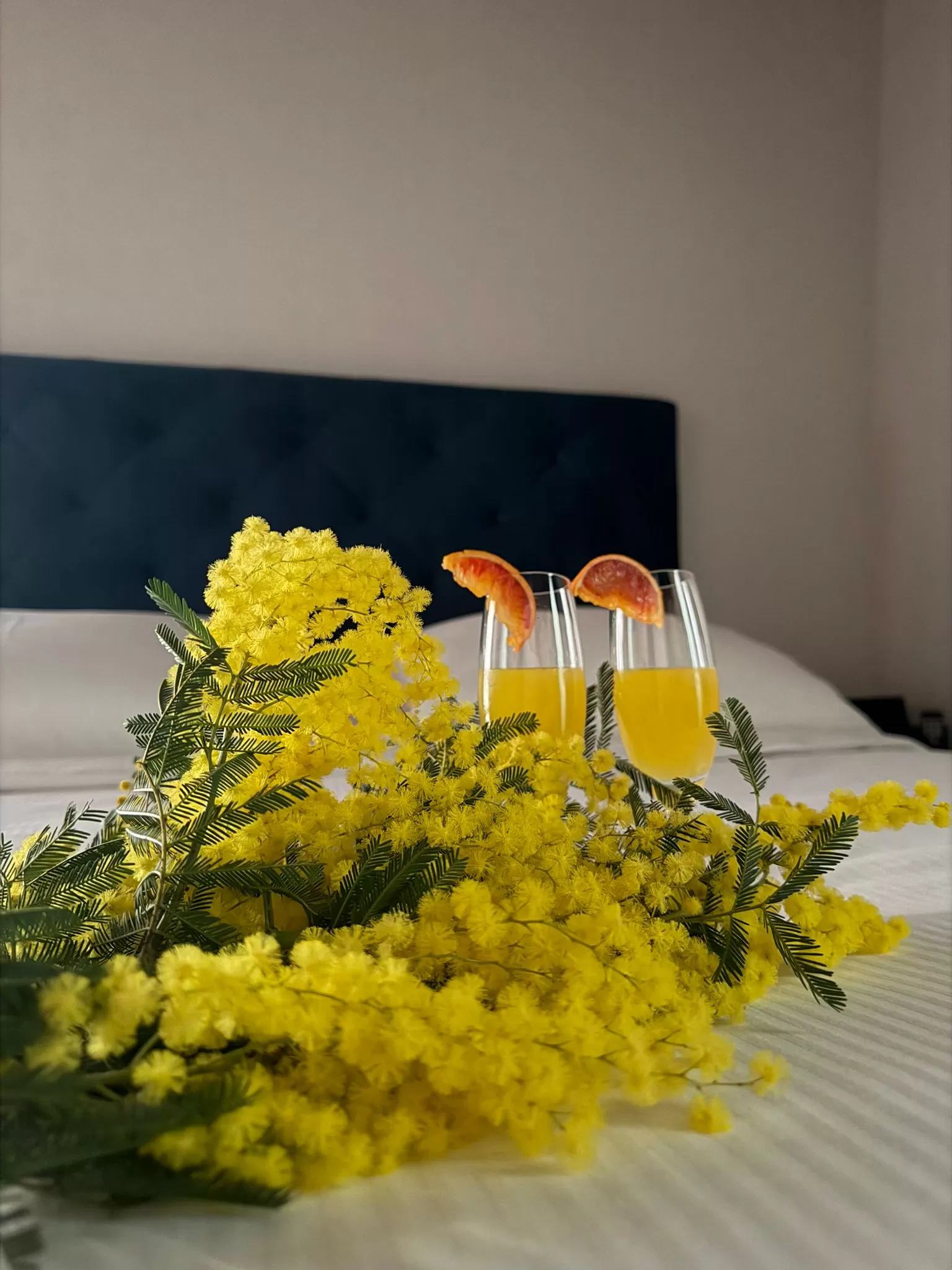 Viva la Donna - Vivi un'esperienza dedicata a lei